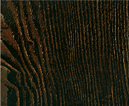 Mw-74 black gold elm